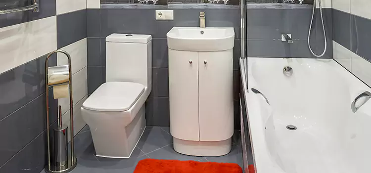 Hansgrohe Shaving Mirror Bakersfield